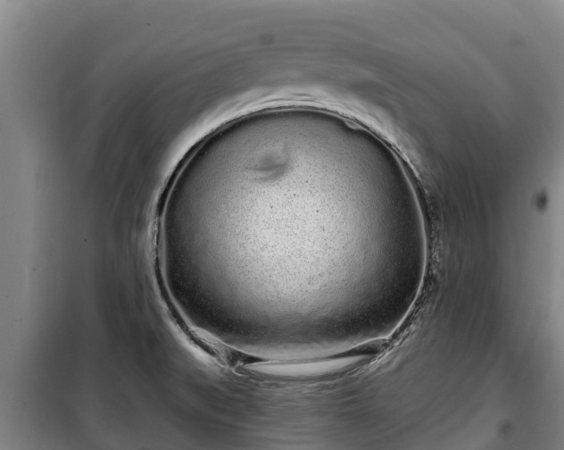 X0000100201519200806061310