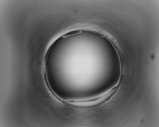 X0000100201520200806061310