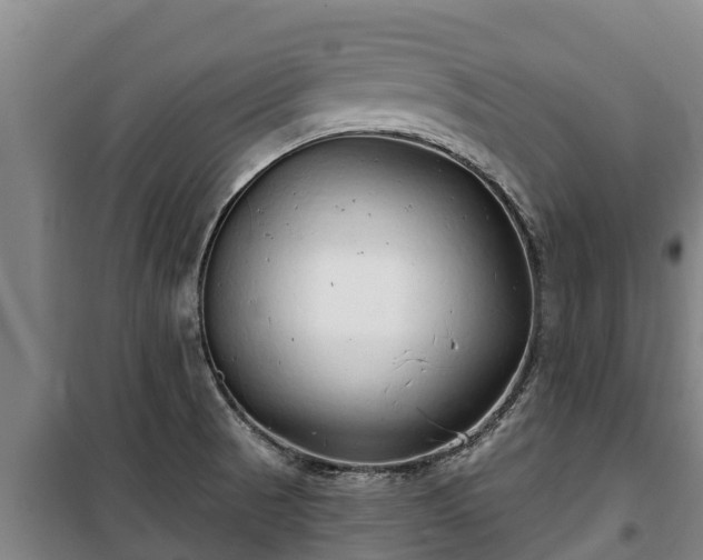 X0000100201521200806061310