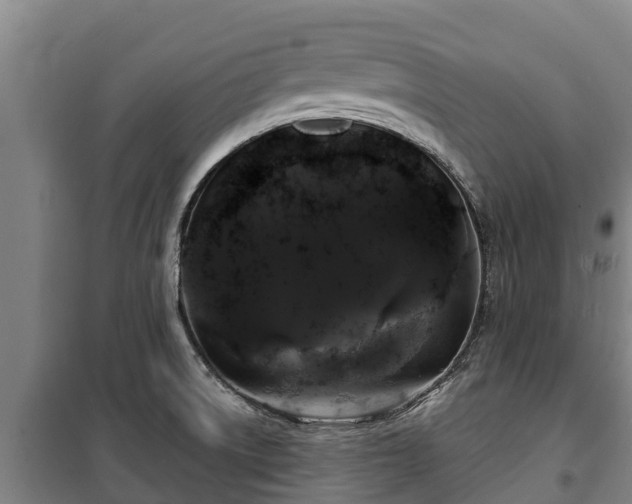 X0000100201522200806061310