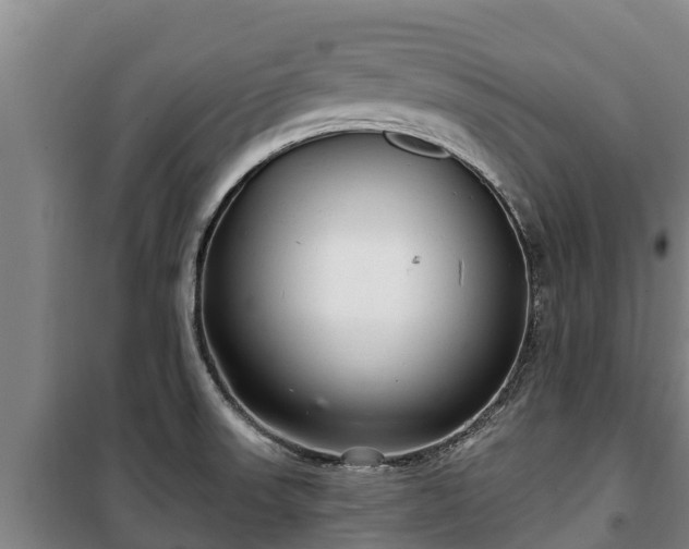 X0000100201523200806061310