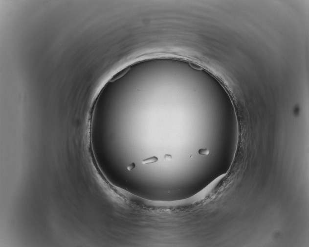 X0000100201524200806061310