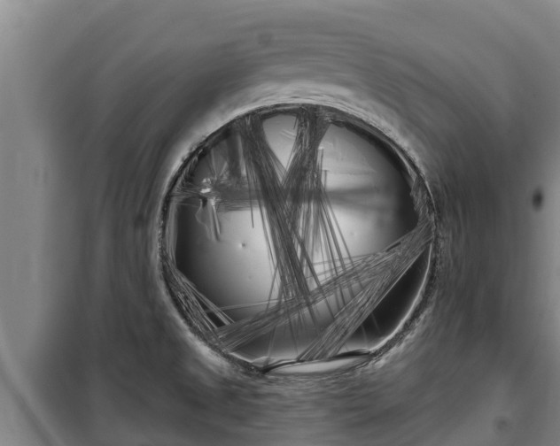 X0000100201525200806061310