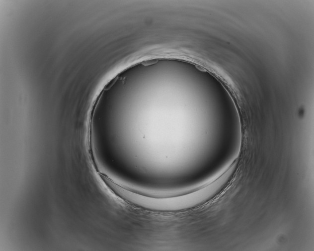 X0000100201528200806061310