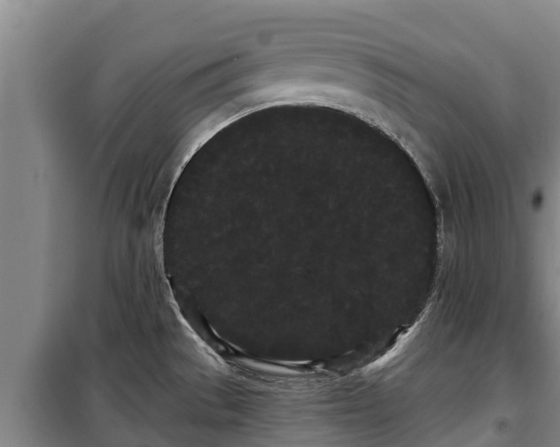 X0000100201529200806061310