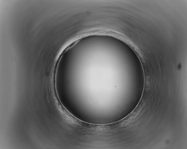 X0000100201530200806061310