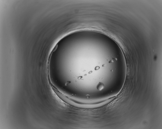 X0000100201532200806061310