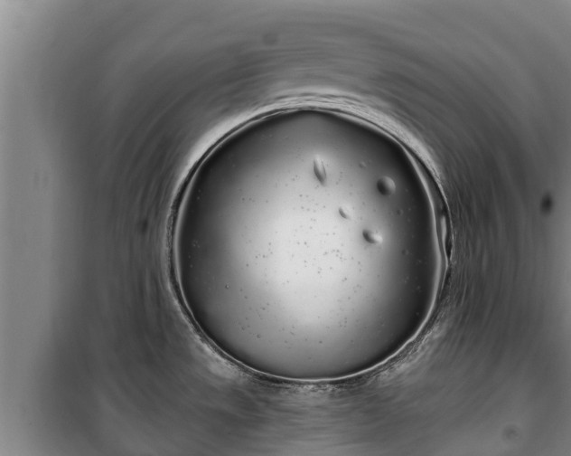 X0000100201533200806061310