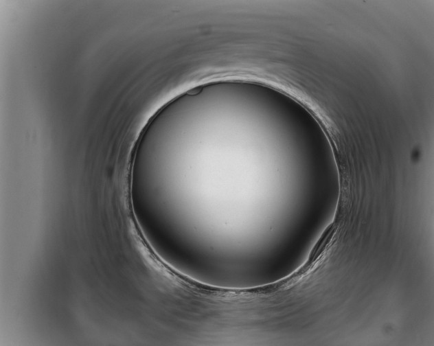 X0000100201534200806061310