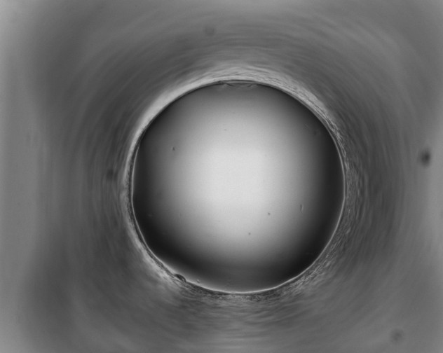 X0000100201536200806061310