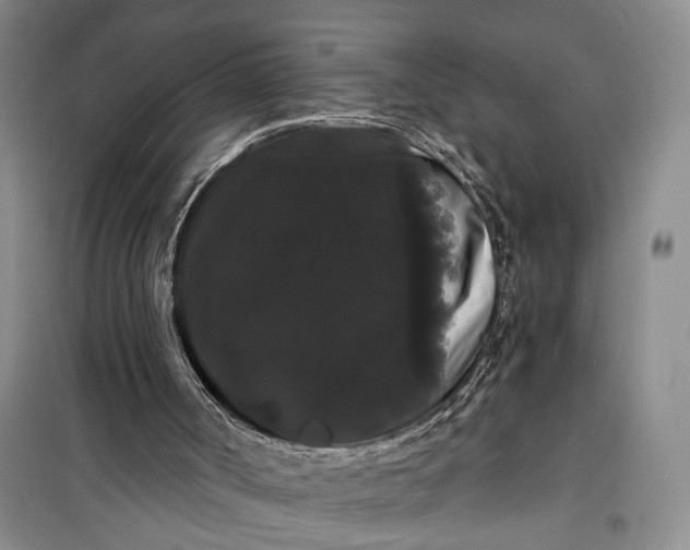 X0000100200002200806131240