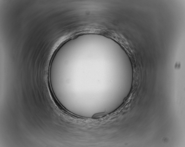 X0000100200003200806131240