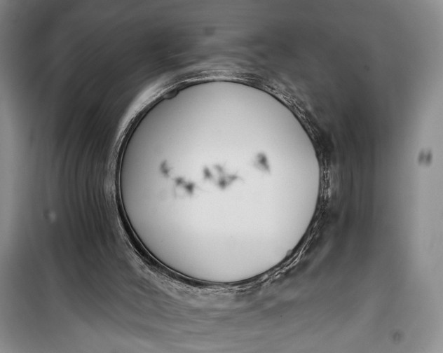 X0000100200004200806131240