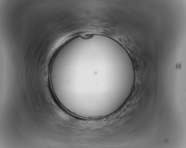 X0000100200005200806131240