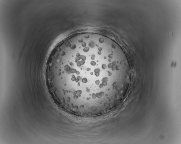 X0000100200006200806131240