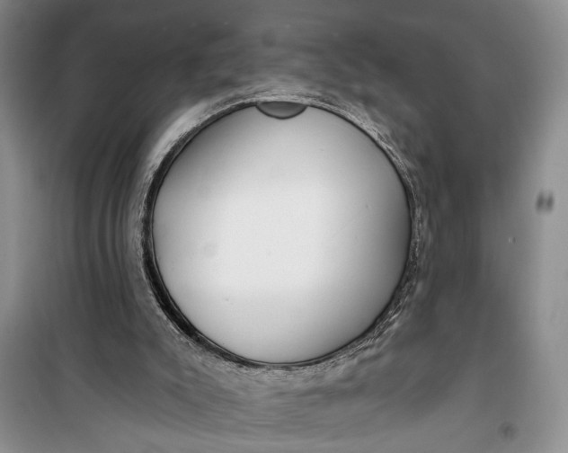 X0000100200007200806131240