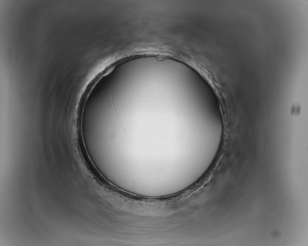 X0000100200008200806131240