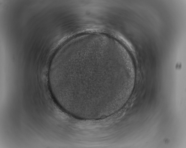 X0000100200009200806131240