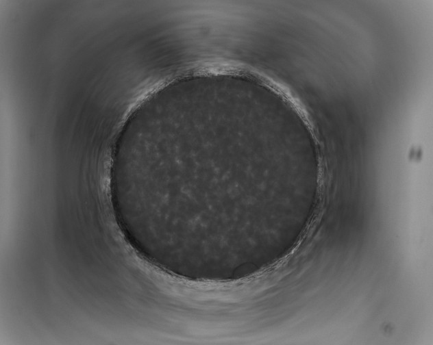 X0000100200010200806131240