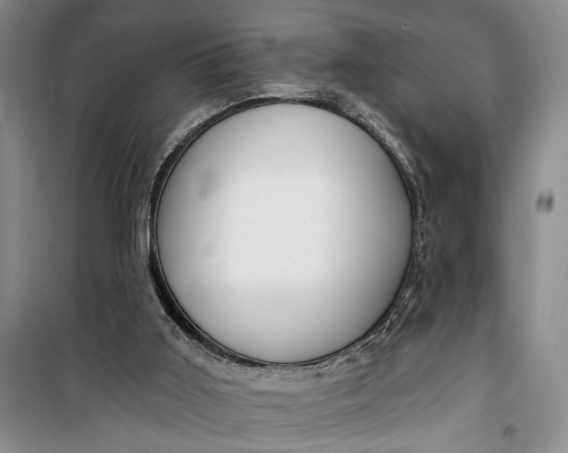 X0000100200011200806131240