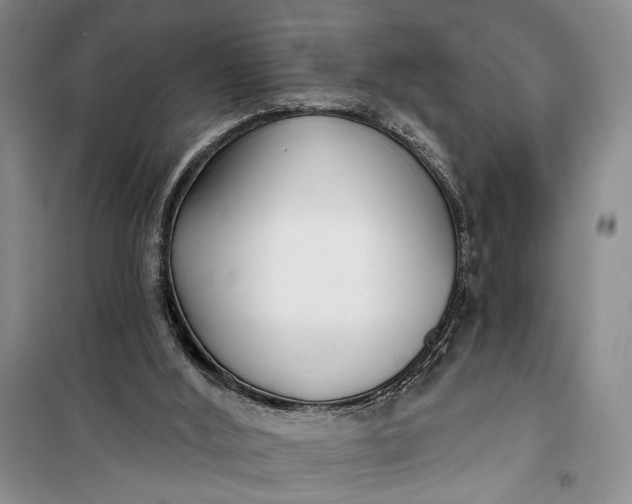 X0000100200012200806131240