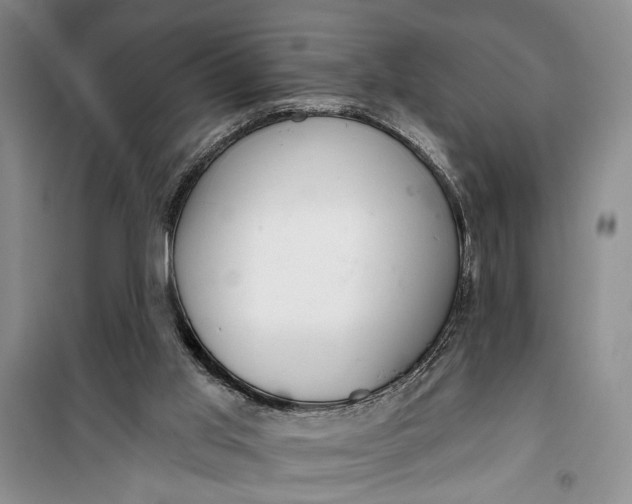 X0000100200013200806131240