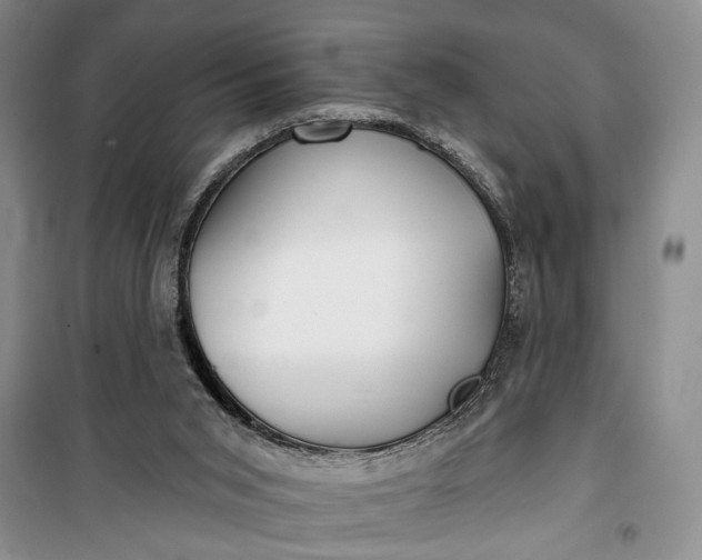 X0000100200015200806131240