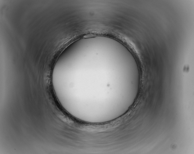 X0000100200017200806131240