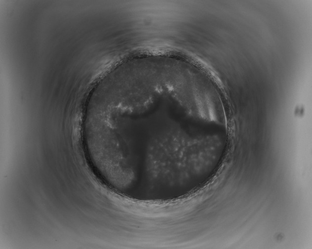 X0000100200018200806131240