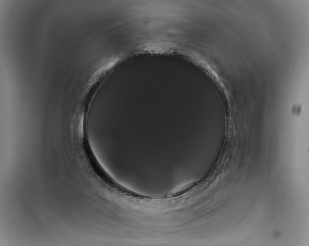 X0000100200019200806131240