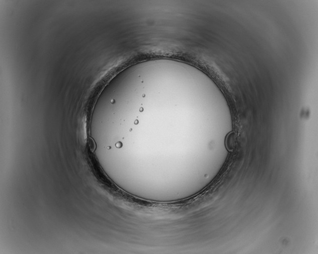 X0000100200020200806131240