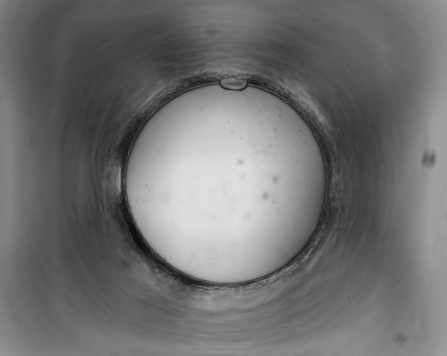 X0000100200021200806131240