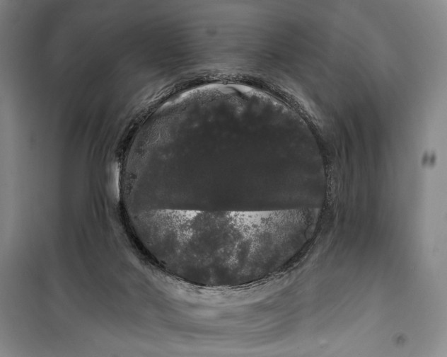 X0000100200022200806131240