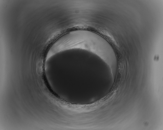 X0000100200023200806131240