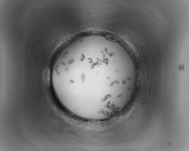 X0000100200024200806131240