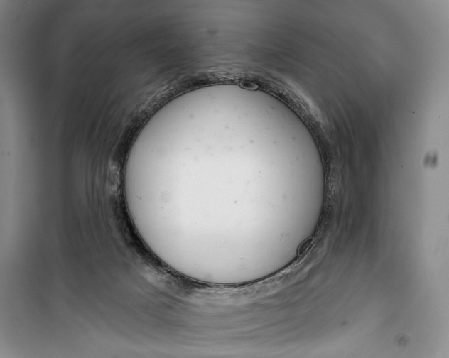 X0000100200025200806131240