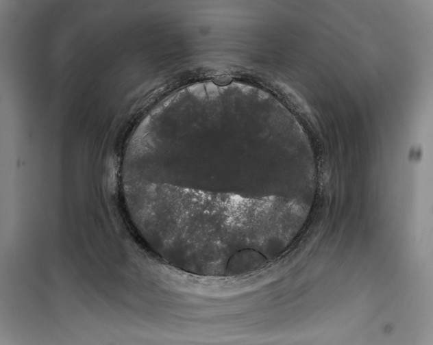 X0000100200026200806131240