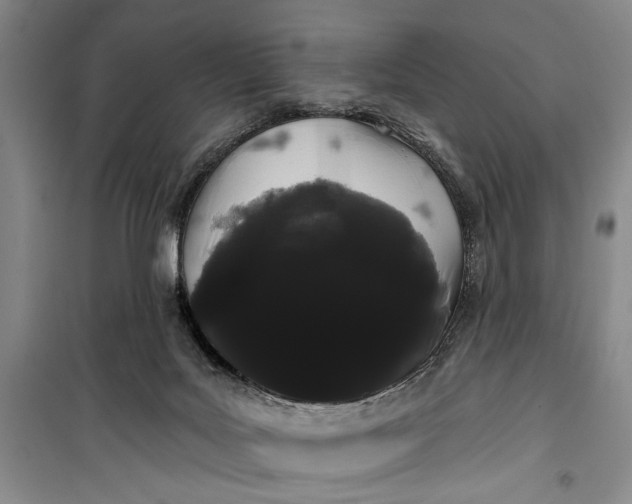 X0000100200027200806131240