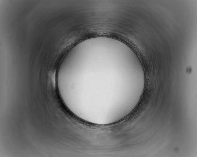 X0000100200028200806131240