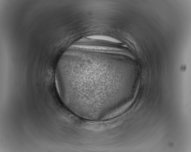 X0000100200029200806131240