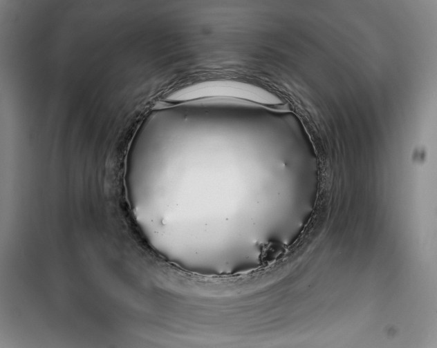 X0000100200030200806131240