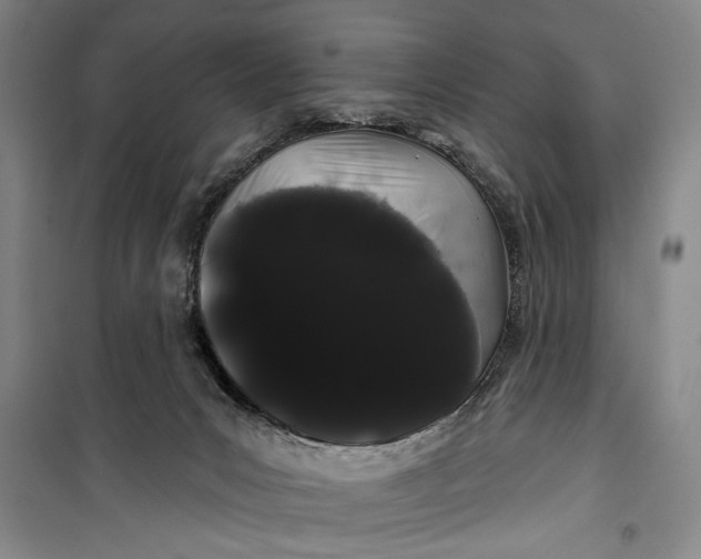 X0000100200031200806131240