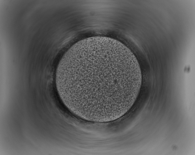 X0000100200032200806131240