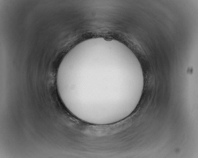 X0000100200033200806131240