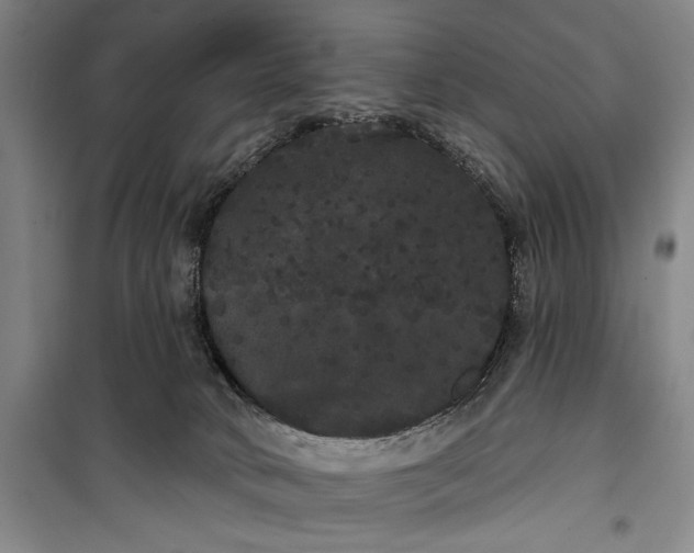 X0000100200034200806131240