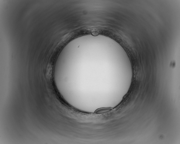 X0000100200036200806131240