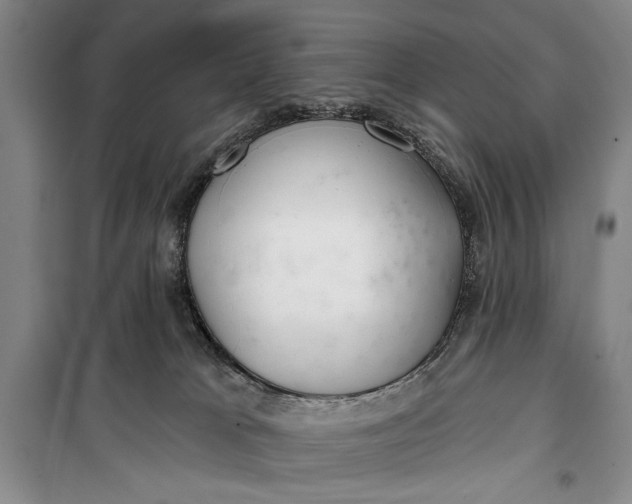 X0000100200037200806131240