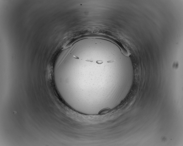 X0000100200038200806131240