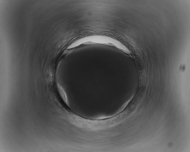 X0000100200039200806131240