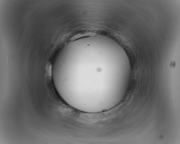 X0000100200041200806131240